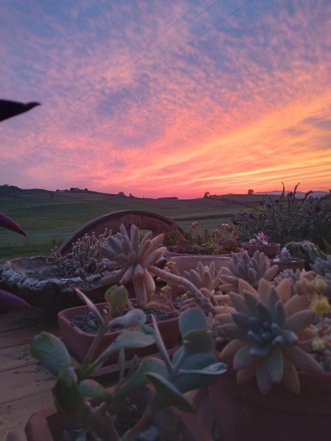 Agriturismo Enjoy Sunset Cinigiano Ngoại thất bức ảnh