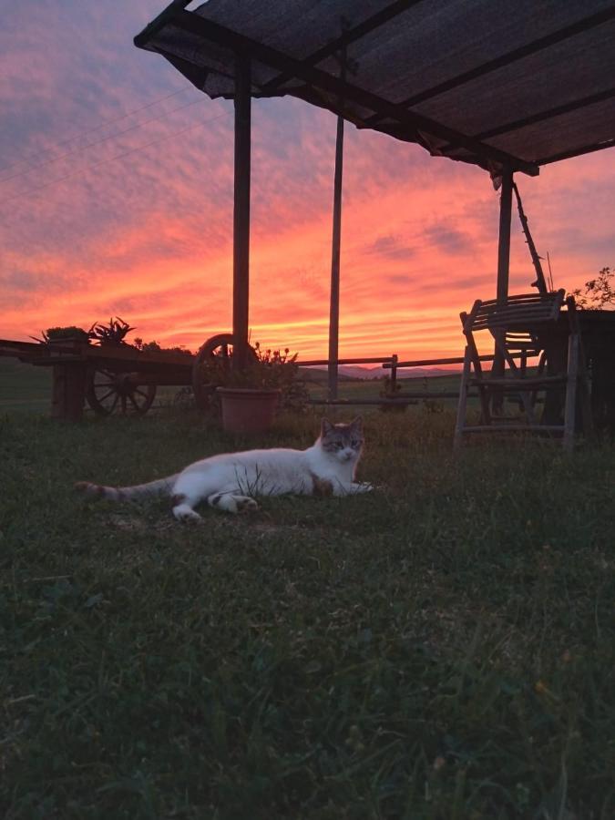 Agriturismo Enjoy Sunset Cinigiano Ngoại thất bức ảnh